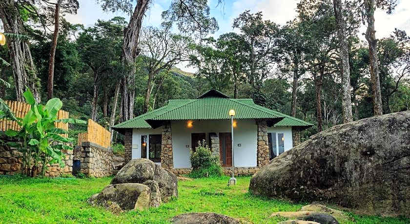 Neelakurunji Plantation Munnar
