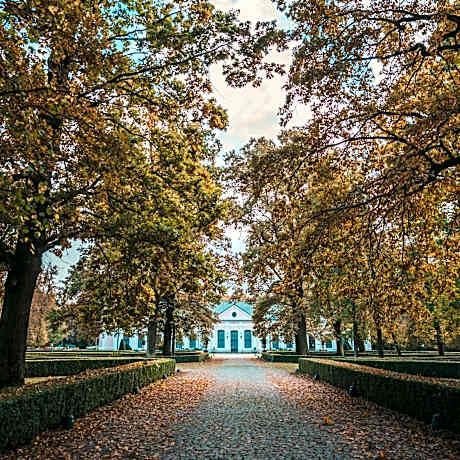 Palac Sieniawa
