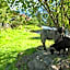 Hotel-Pension Egger