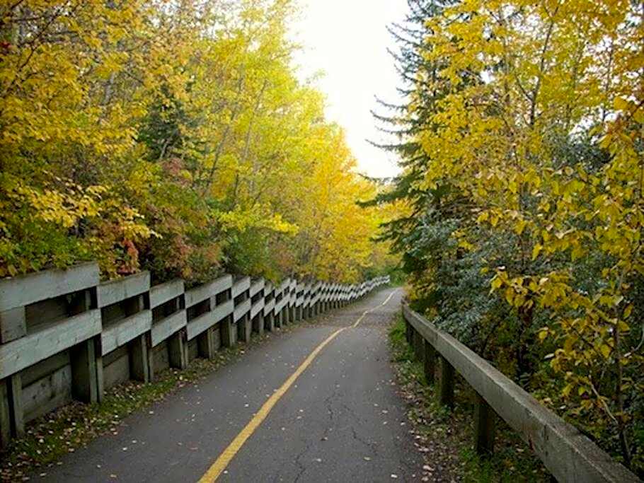 Executive Bsmt Suite, King Bed, 5 min to DT & Whyte Ave, Sleeps 6!