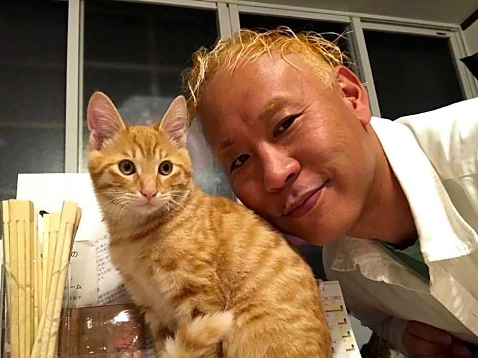 Misato Kinenkan, A Guest House Full Of Cats