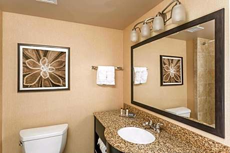 Deluxe King Studio Suite - Non-Smoking