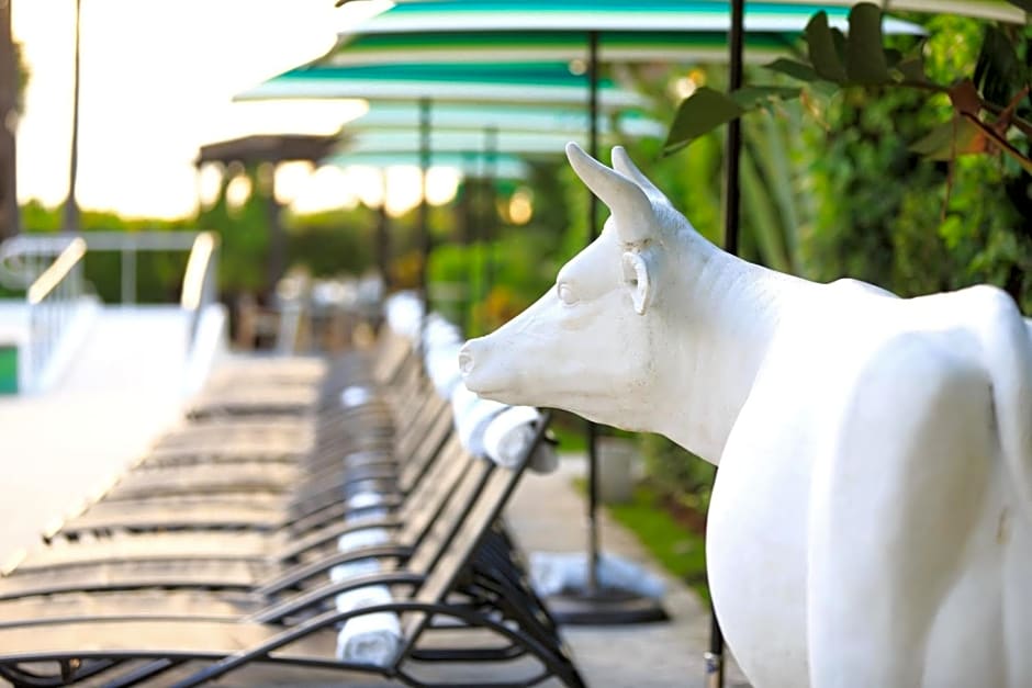 Kimpton Surfcomber Hotel, an IHG Hotel