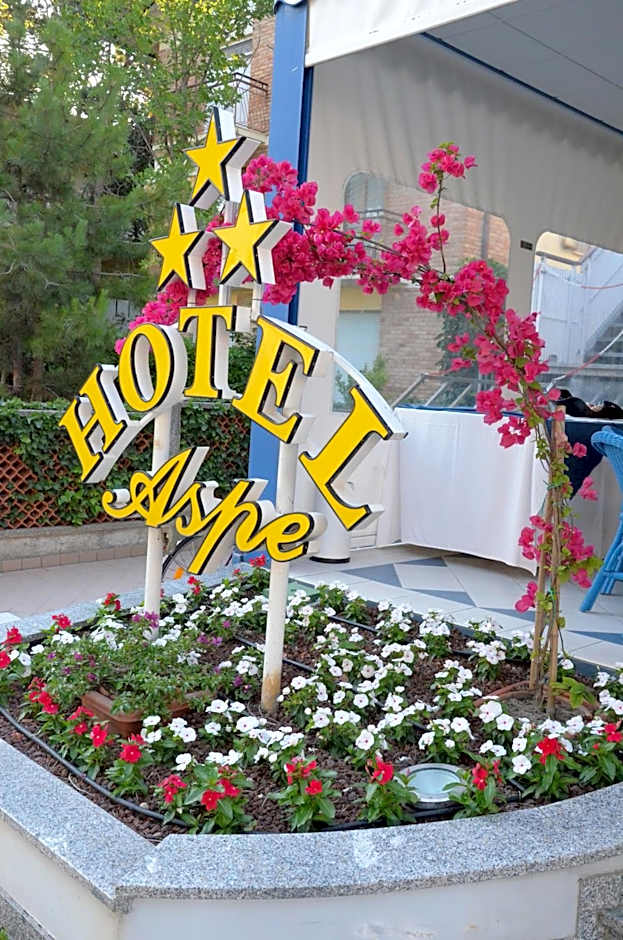 Hotel Aspe