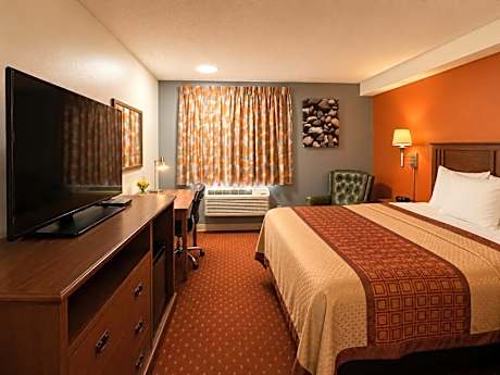 Room with One Queen Bed