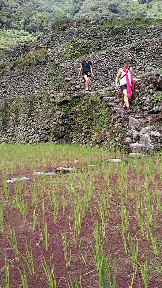 BATAD CRISTINA'S Main Village INN & Restaurant