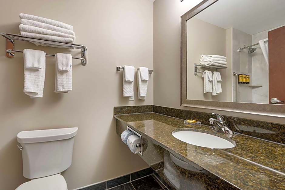 Best Western Plus Brandon Inn