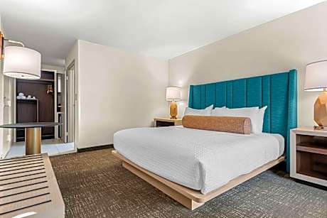 King Room with Roll-In Shower - Mobility Accessible/Smoking