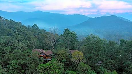 Vythiri Mist Resort