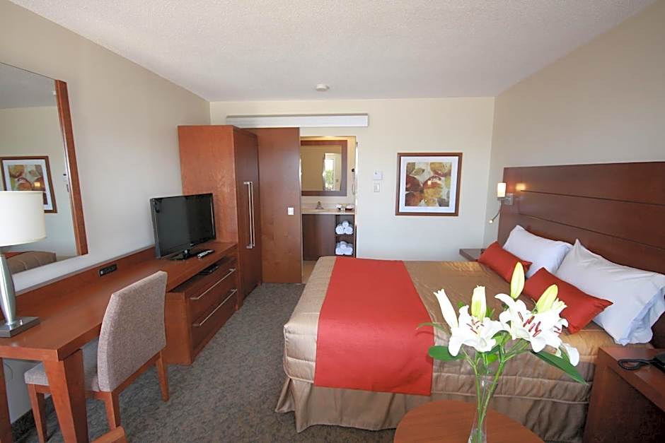 Motel Adam