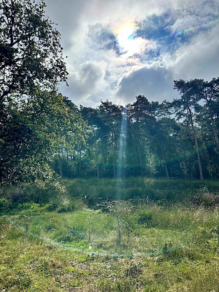 Gasterij Hotel Dennenoord