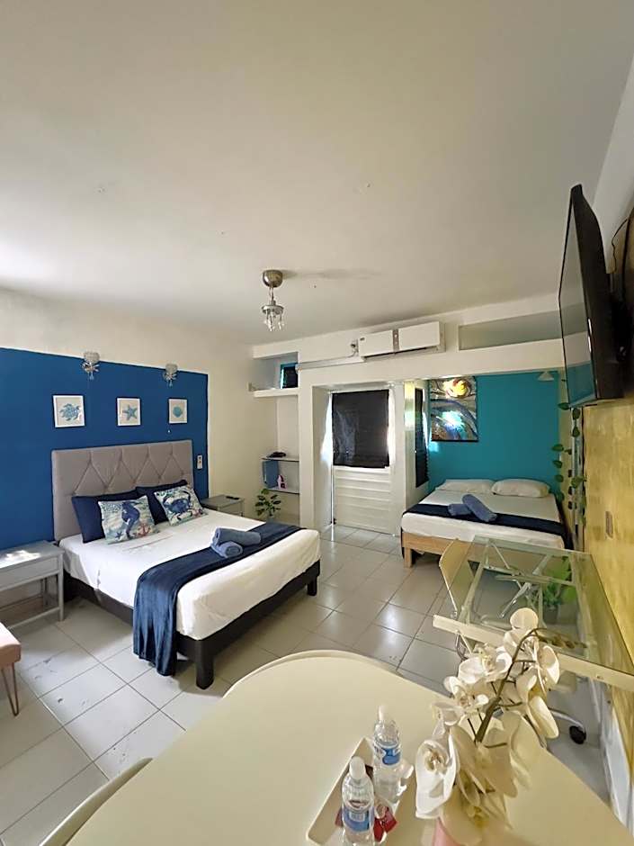 Suites Brisa Marina - atrás de Playa Regatas y el Malecón, 6 calles del Acuario