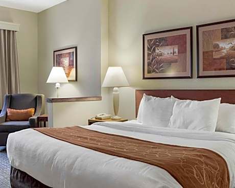 1 KING BED SUITE NONSMOKING