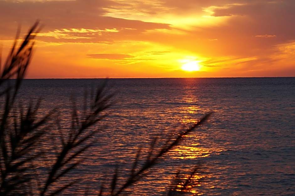 Jason Rooms & Studios