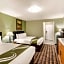 Quality Inn & Suites Plano