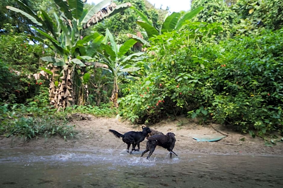 Hostel e Camping Rio das Pedras