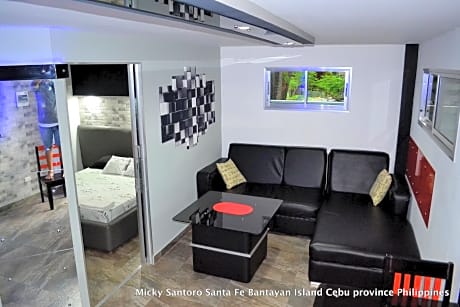 Micky Santoro- Apartments