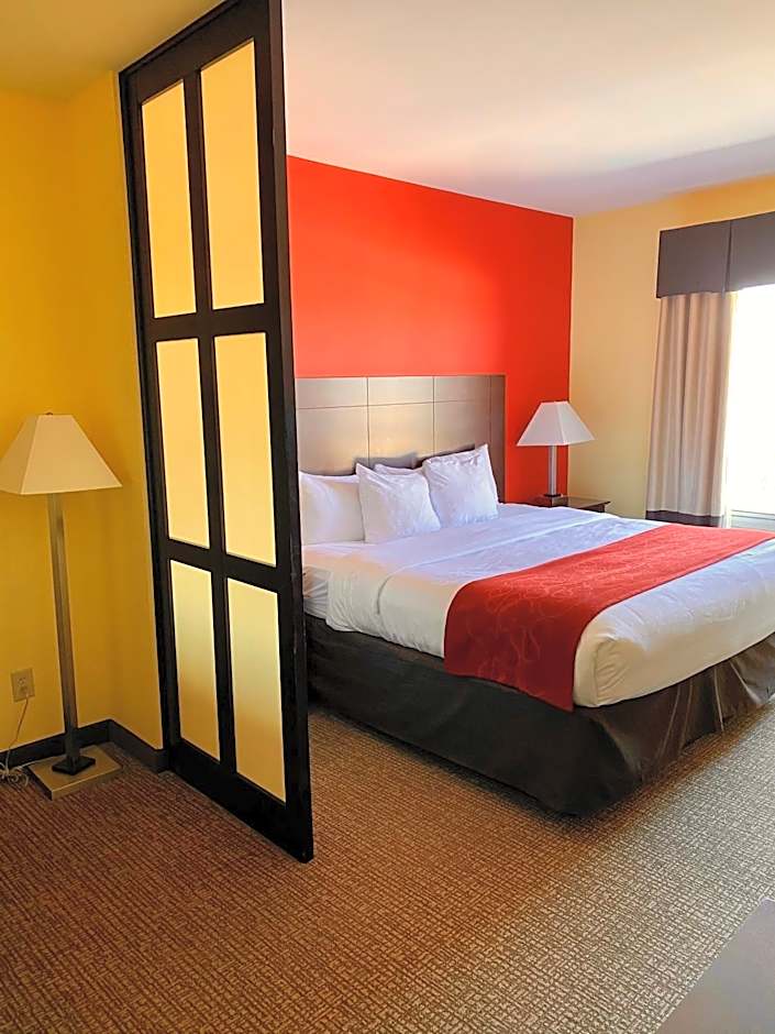 Comfort Suites Rock Hill Manchester Meadows Area