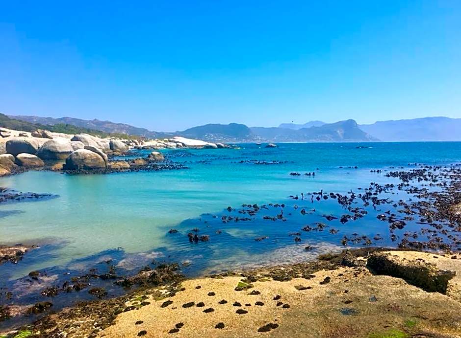 On The Square Luxury Apartment