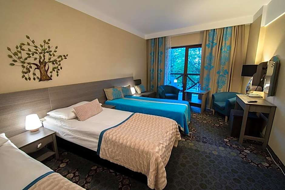 Hotel EUROPA - Górnicza Strzecha