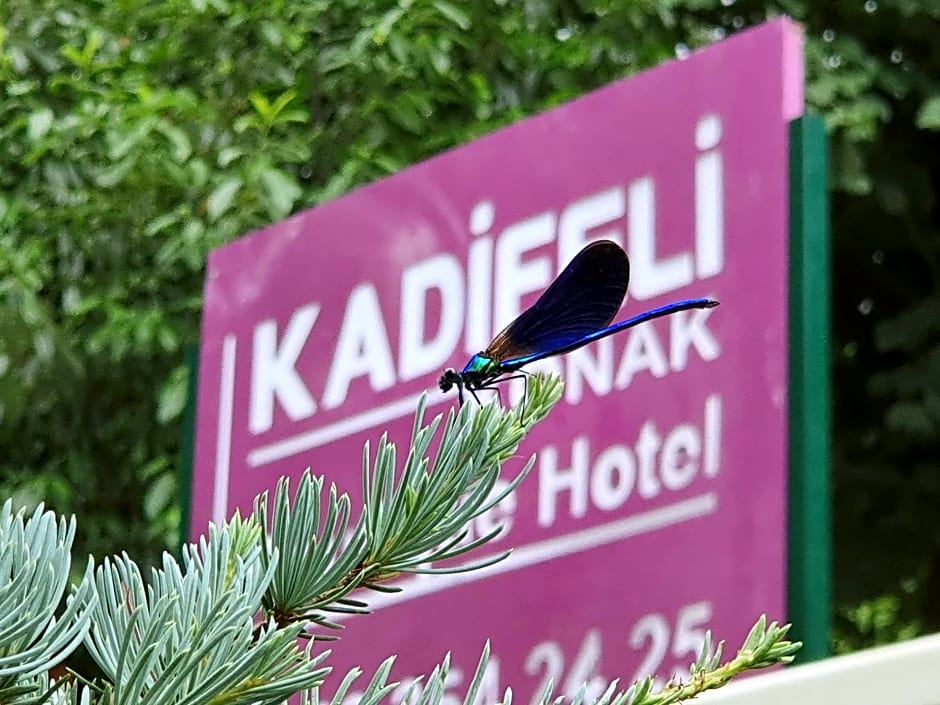 Kadifeli Konak Hotel & Bungalow