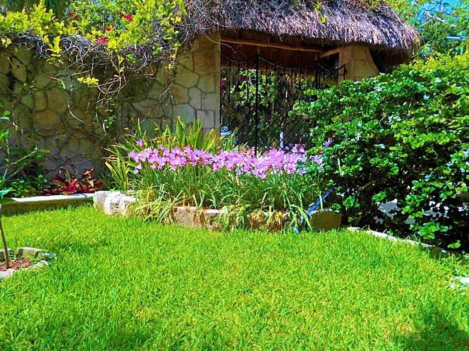 Casa Gatos