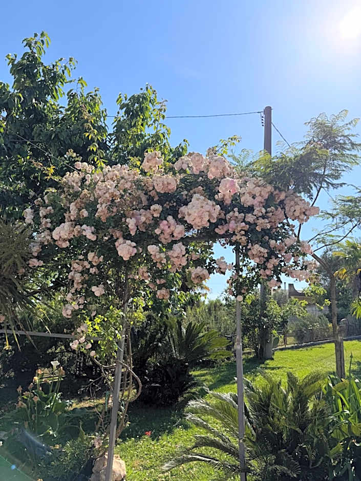 A Casa di nonna Emilia