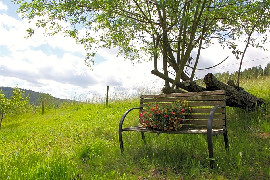 Natur & Wander Hotel Gassbachtal