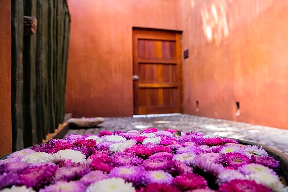 Casa Carmen Reforma