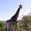 Weltevreden Game Lodge