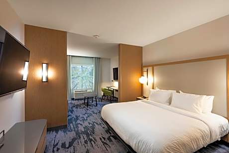 King Suite with Sofa Bed and Roll-In Shower - Hearing Accessible/Mobility Access