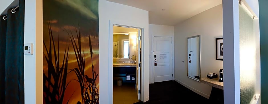Hotel Indigo Waco-Baylor By IHG