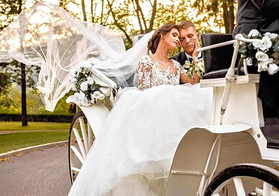 Hotel Gino Park Palace - Kaštieľ Orlové