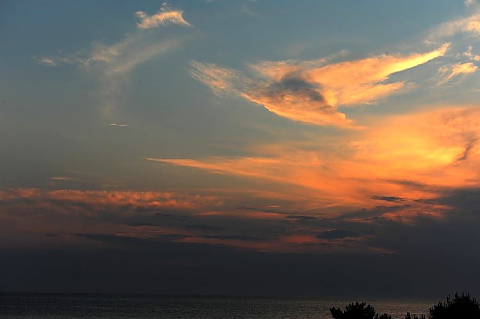 Delfinia Hotel & Bungalows