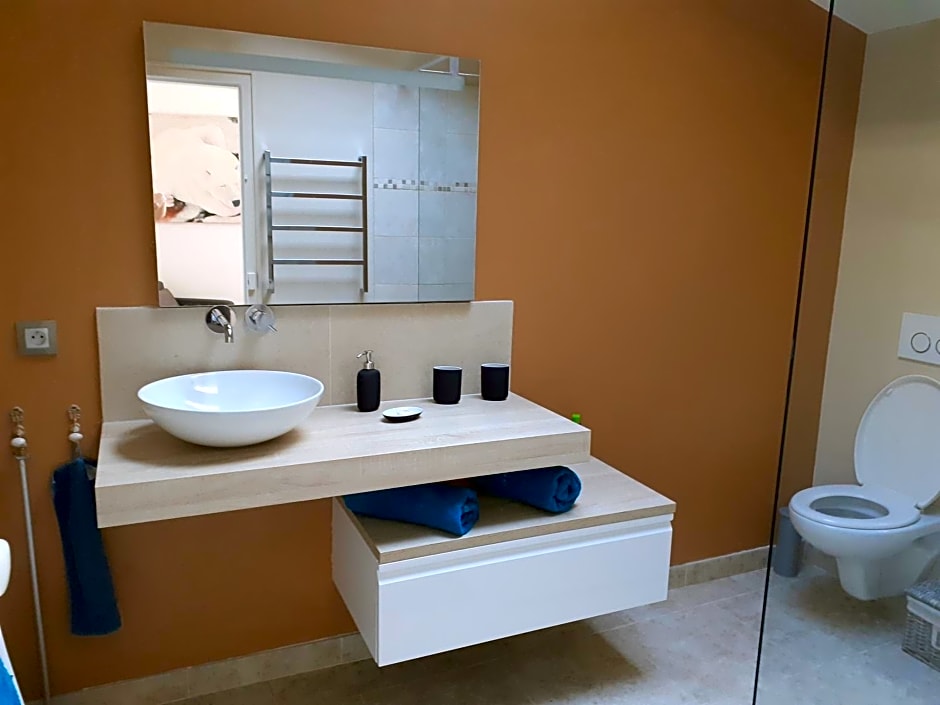 Centre ville, chambre indépendante 20m2 et sa salle de bain privée