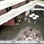 Holiday Inn Mexico Dali Airport By IHG