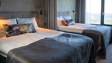 Superior Double or Twin Room with City View