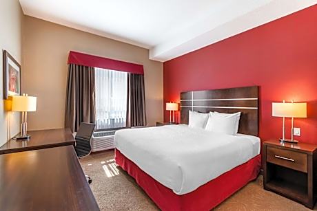 King Room with Sofa Bed and Walk-In Shower - Kitchenette/Mobility Accessible