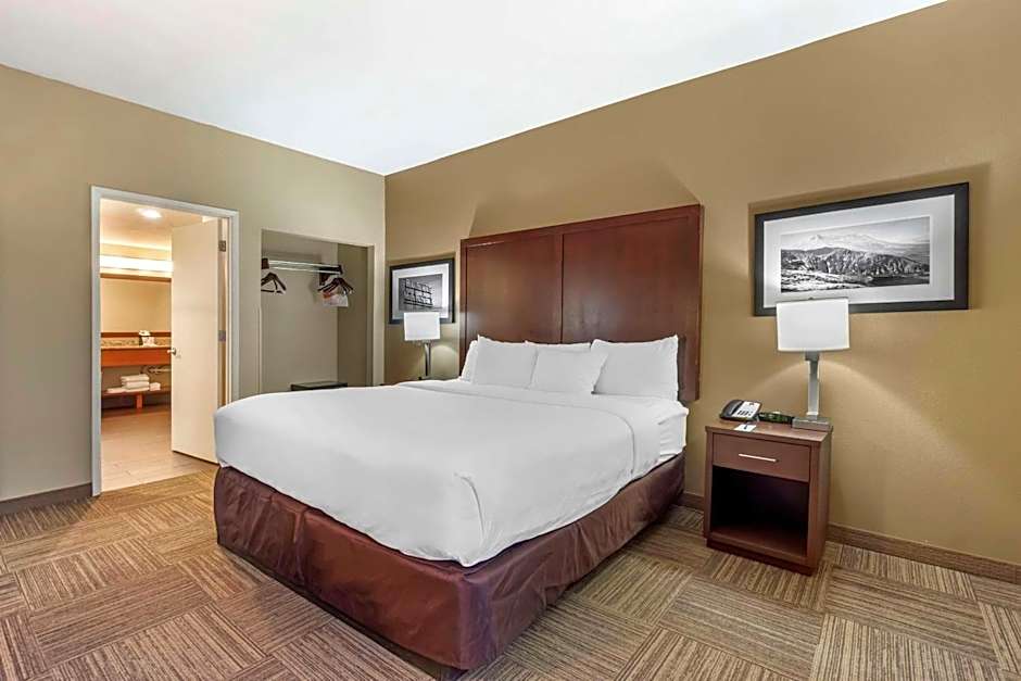 Comfort Inn & Suites Seatac