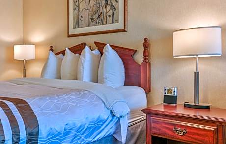 1 Queen Bed, Non-Smoking, Sofabed, High Speed Internet Access, Sitting Area, Full Breakfast