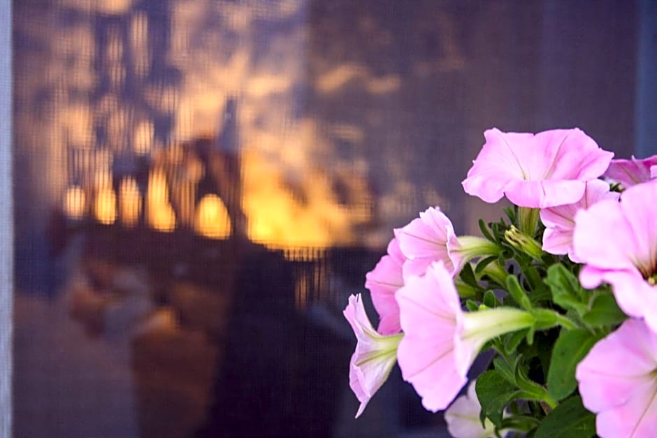 EnjoyTrulli - Unesco Site