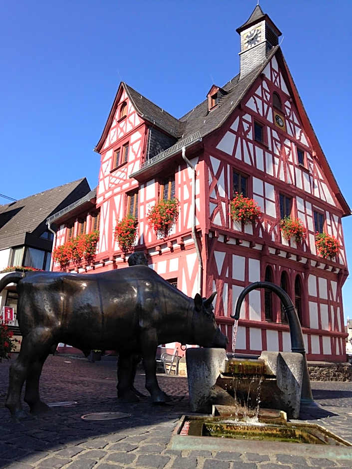 AKZENT Hotel Restaurant Roter Ochse Rhens bei Koblenz