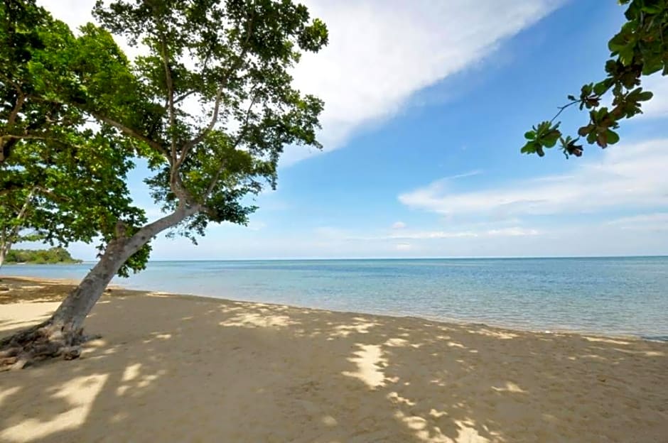 Your Peaceful Island Paradise in Puerto Princesa Palawan