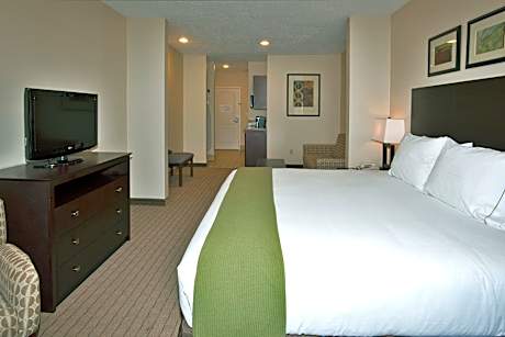 1 King Bed Suite Additional Living Area