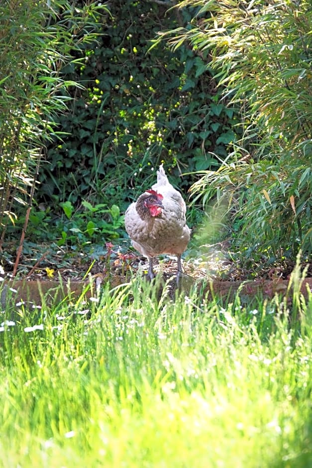 L'Orme Blanchet petit-déjeuner inclus