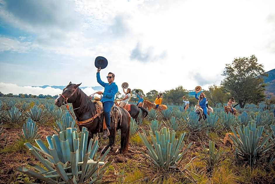 Matices Hotel de Barricas