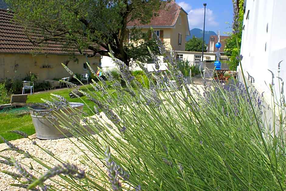 Carpe Diem - Bnb - Chambres d'hôtes