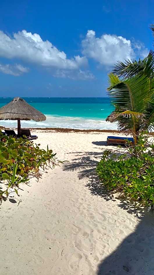 Sol Caribe