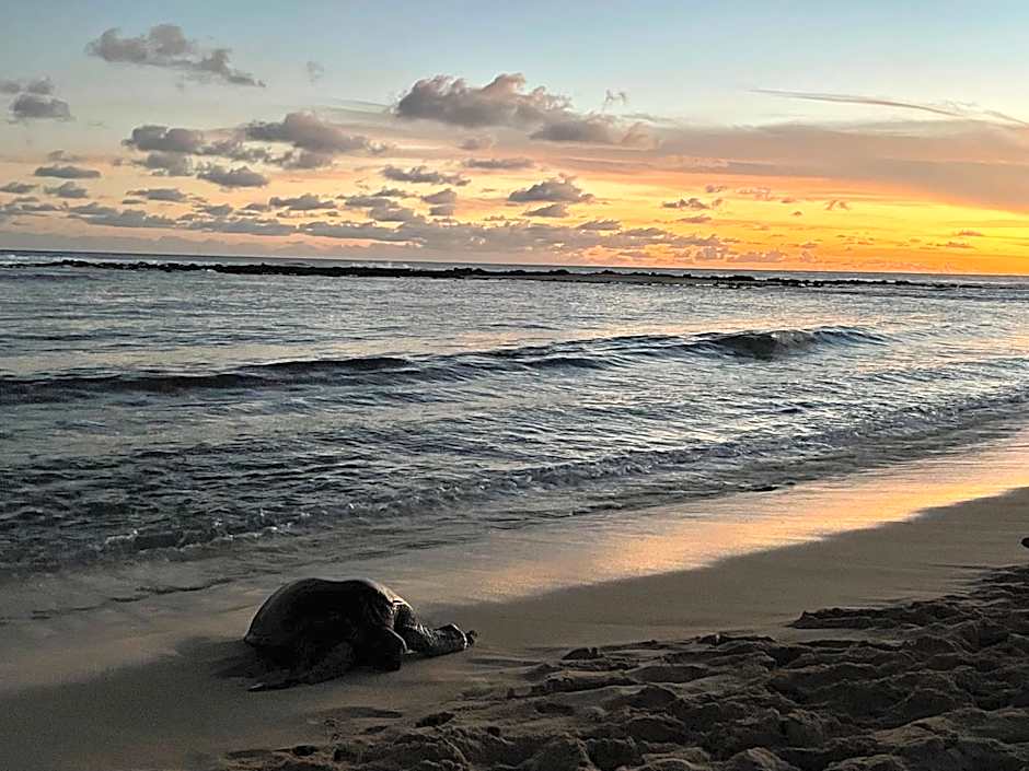 Kiahuna Plantation Unit 118 - 2nd Floor Expansive Views, Air Conditioning