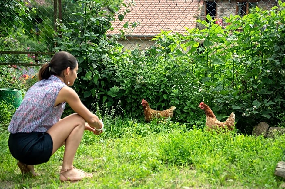 Les Chambres d'hotes de Laurette